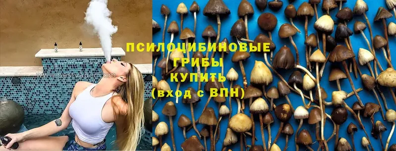 Галлюциногенные грибы Magic Shrooms  Дрезна 